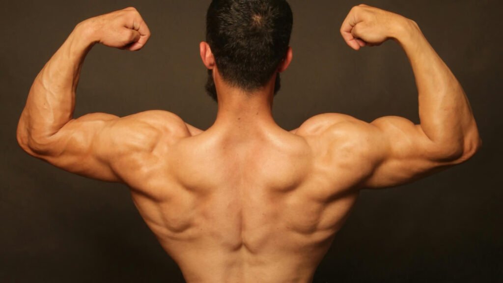 shoulder training