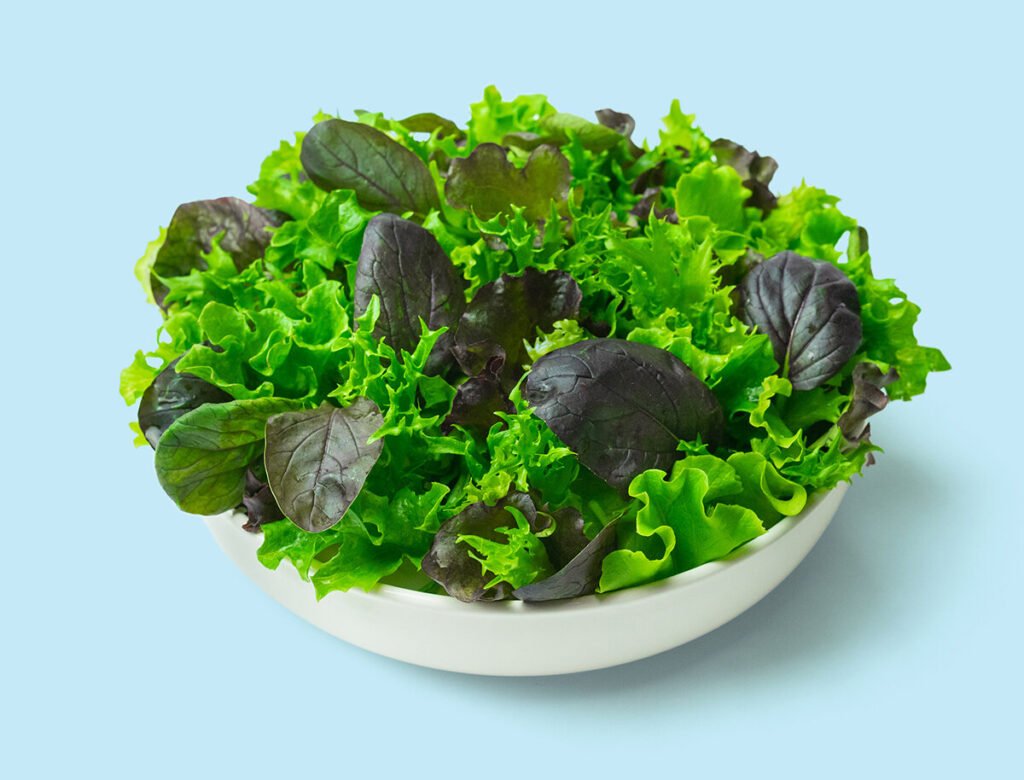 Isolated+Midwest+Medley+Salad+Bowl