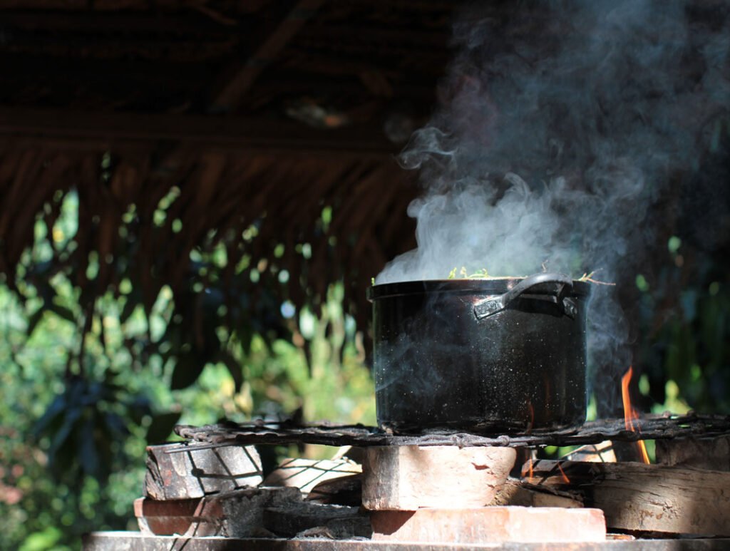 brewing-ayahuasca