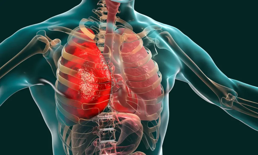 respiratory-system