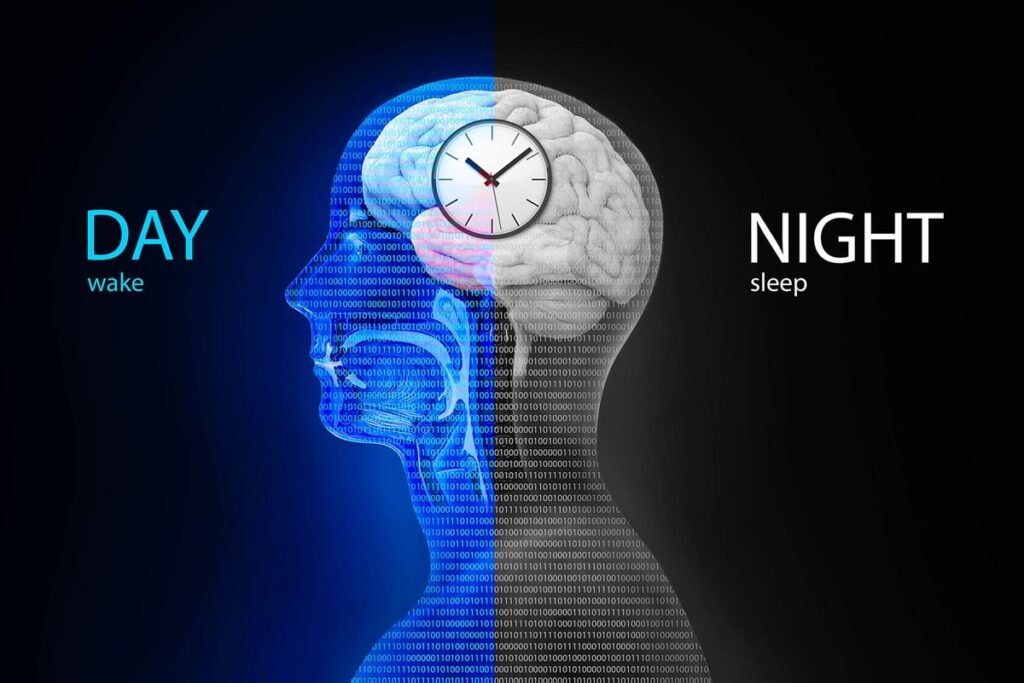 melatonin